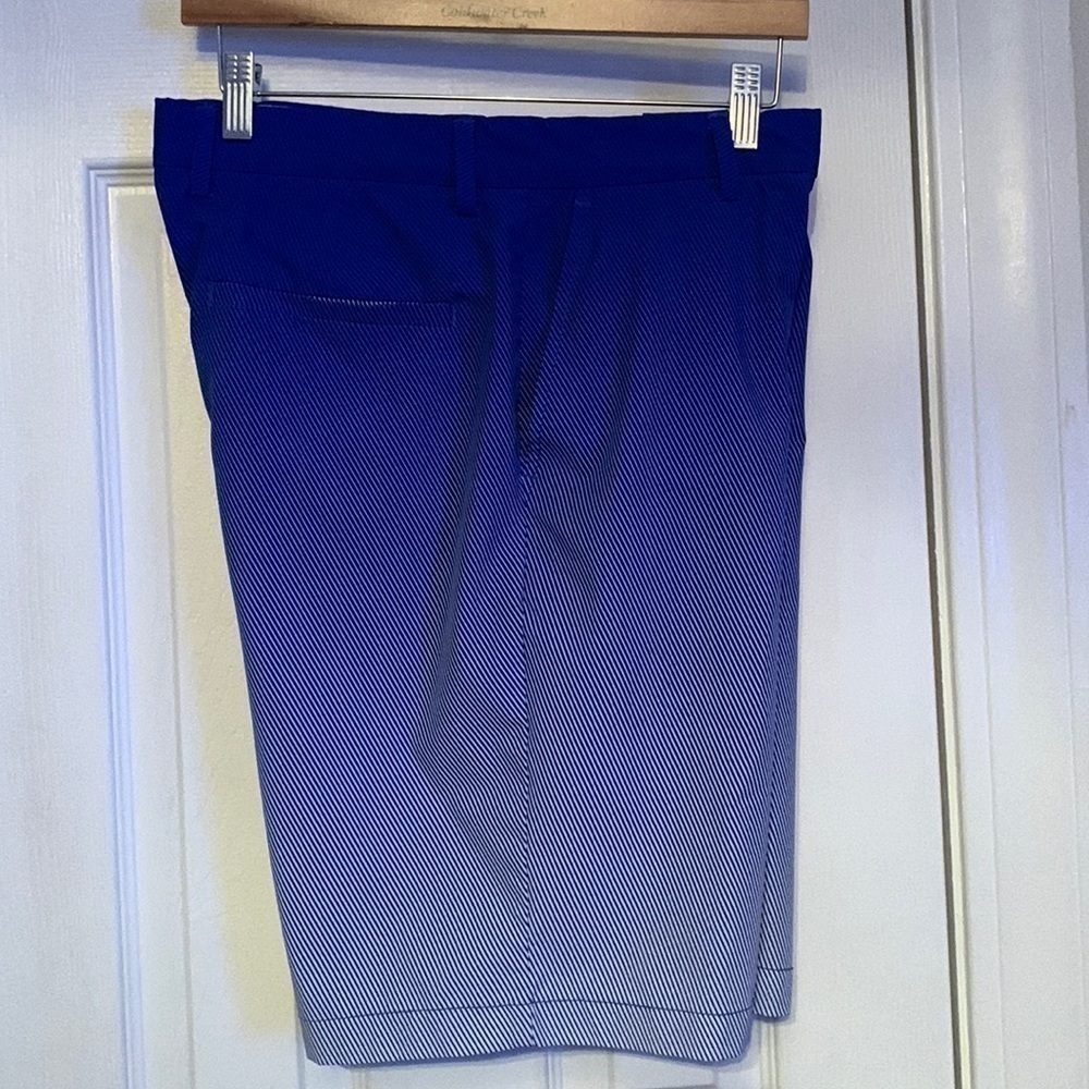 Attack Life Greg Norman Blue Pin striped Shorts Size 32 #506